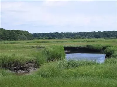 25 Salt Marsh Way, Eastham, MA 02642 photo 7