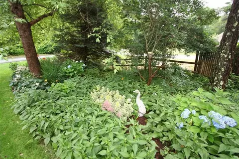 373 Skunknet Rd, Centerville, MA 02632 photo 6