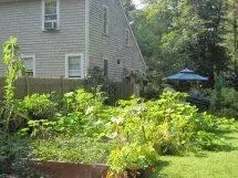 51 Timber Ln, Marstons Mills, MA 02648 photo 6