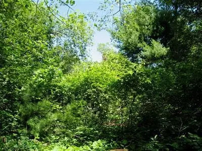 206 Turtleback Rd, Marstons Mills, MA 02648 photo 4