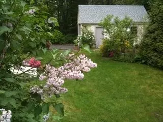 64 Park Ave, Centerville, MA 02632 photo 15