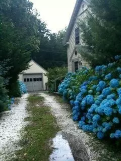 64 Park Ave, Centerville, MA 02632 photo 12