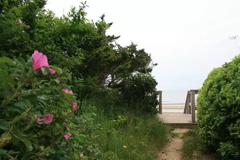 60 Baldwin Rd, Eastham, MA 02642 photo 30