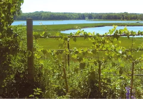 233 Shore Rd, Bourne, MA 02532 photo 19