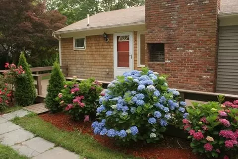 38 Leonard Rd, Hyannis, MA 02601 photo 34