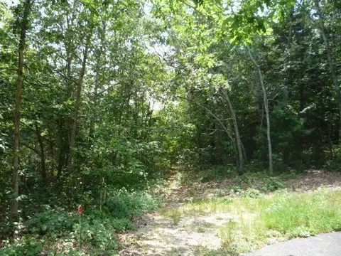 31 Playstead Ln, East Falmouth, MA 02536 photo 1