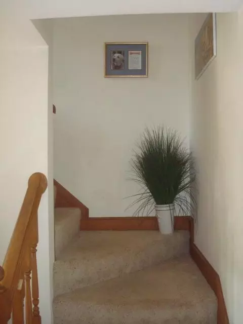 42 Glendon Rd, Dennis Port, MA 02639 photo 12
