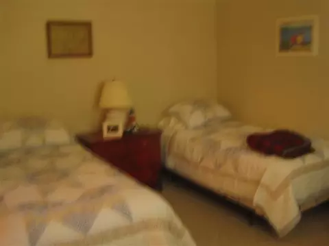7 Back Dr, Wellfleet, MA 02667 photo 10