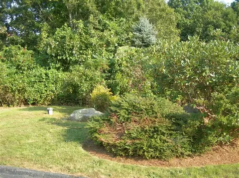 42 Williams Path, West Barnstable, MA 02668 photo 29