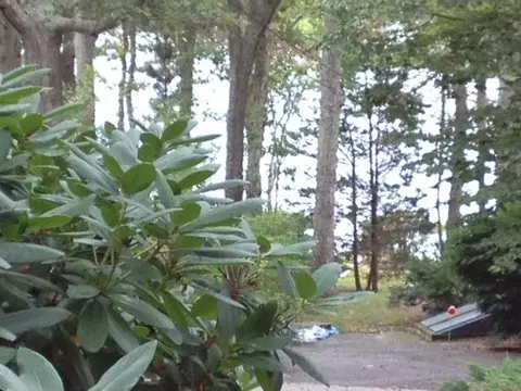 126 Lakeside East Dr, Centerville, MA 02632 photo 15