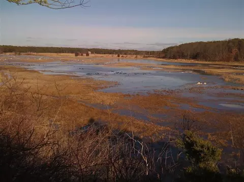 25 John Thomas Rd, Eastham, MA 02642 photo 25