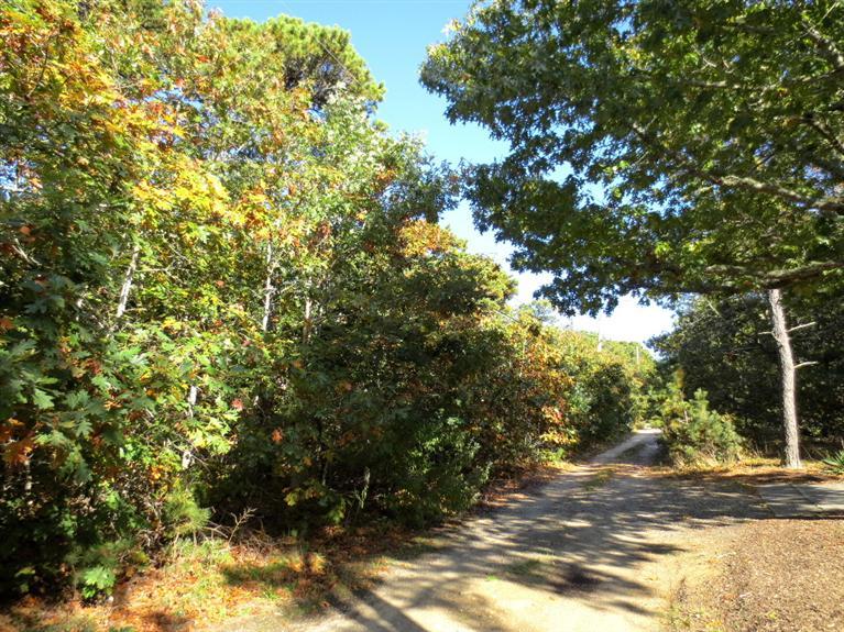 45 Fairview Ave, Eastham, MA 02642 photo 2