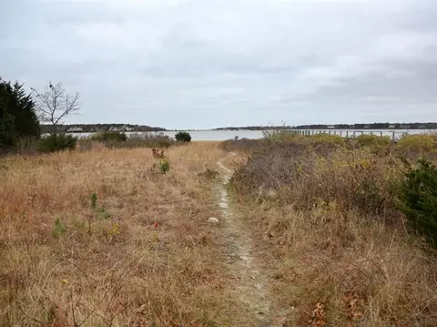 269 W Bay Rd, Osterville, MA 02655 photo 3