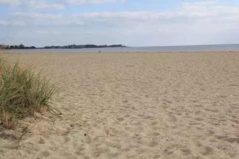 137 Short Beach Rd, Centerville, MA 02632 photo 26