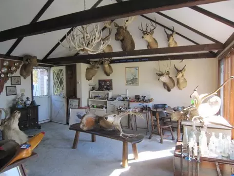 245 Mill Rd, Eastham, MA 02642 photo 10