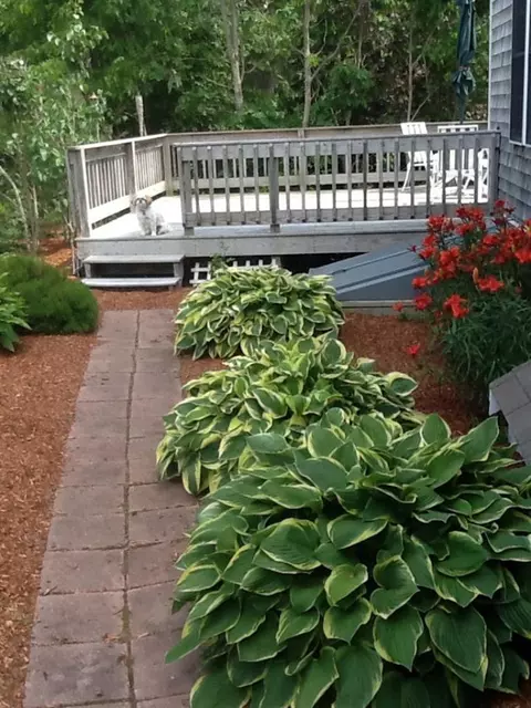 118 James Cir, Mashpee, MA 02649 photo 21