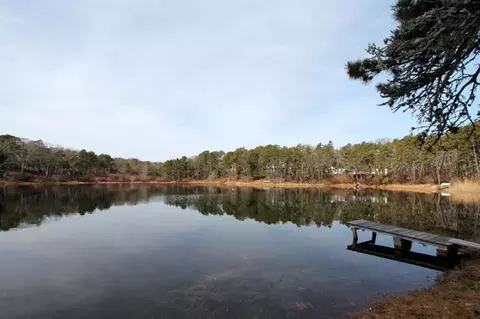 35 Duck Marsh Ln, Eastham, MA 02642 photo 19