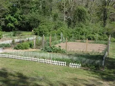 12 Willow St, West Barnstable, MA 02668 photo 33