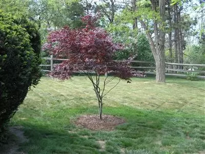 12 Willow St, West Barnstable, MA 02668 photo 30