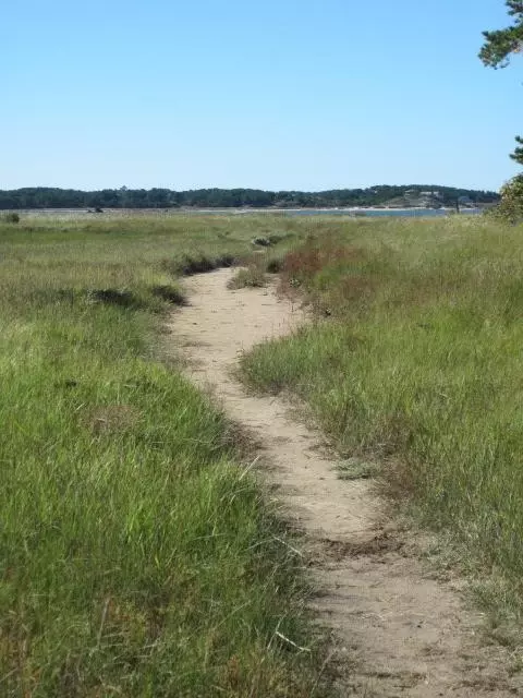 60 Wigwam St, Wellfleet, MA 02667 photo 10
