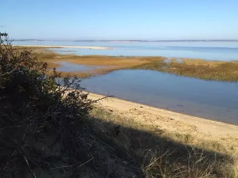 41 4th Ave, Wellfleet, MA 02667 photo 6