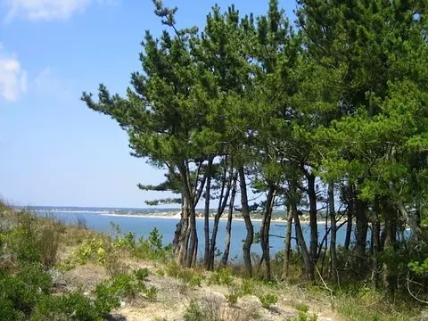 41 4th Ave, Wellfleet, MA 02667 photo 15
