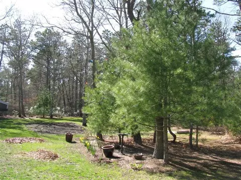14 Tern Cir, Mashpee, MA 02649 photo 6