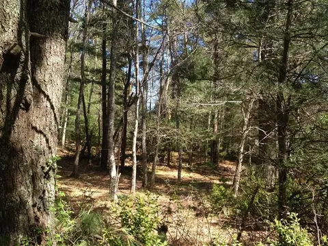 82 Nye Rd, Centerville, MA 02632 photo 20