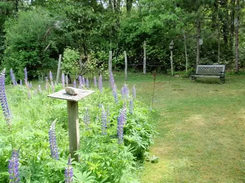 119 Old Dam Rd, Bourne, MA 02532 photo 22