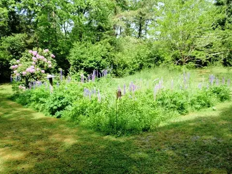 119 Old Dam Rd, Bourne, MA 02532 photo 23