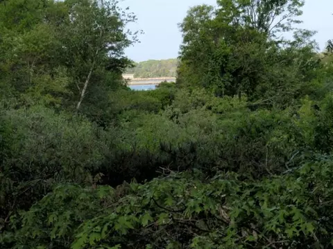 119 Old Dam Rd, Bourne, MA 02532 photo 19