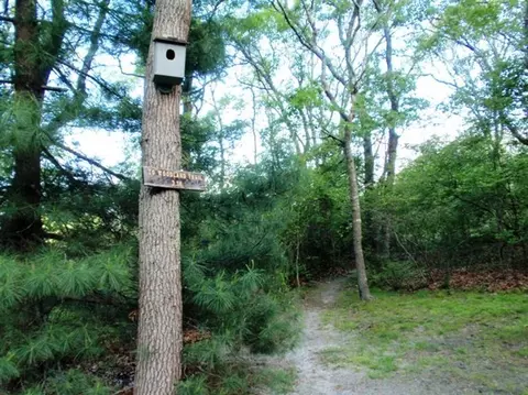 119 Old Dam Rd, Bourne, MA 02532 photo 25