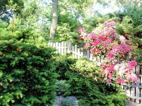 119 Old Dam Rd, Bourne, MA 02532 photo 21