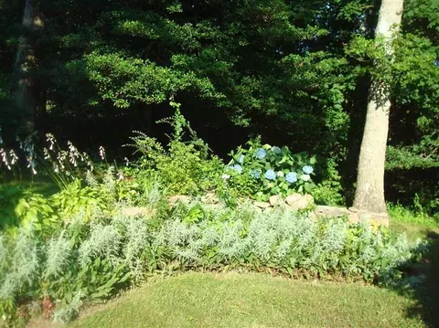 1001 W Main St, Centerville, MA 02632 photo 10