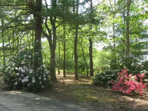 203 Eisenhower Dr, Cotuit, MA 02635 photo 16