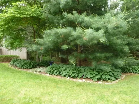 20 Old Fields Rd, Sandwich, MA 02563 photo 22