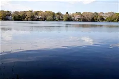 59 Pond View Dr, Centerville, MA 02632 photo 21