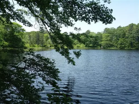 53 Pine Ln, Osterville, MA 02655 photo 14