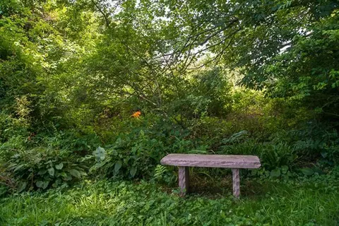 4099 Main St, Cummaquid, MA 02637 photo 35