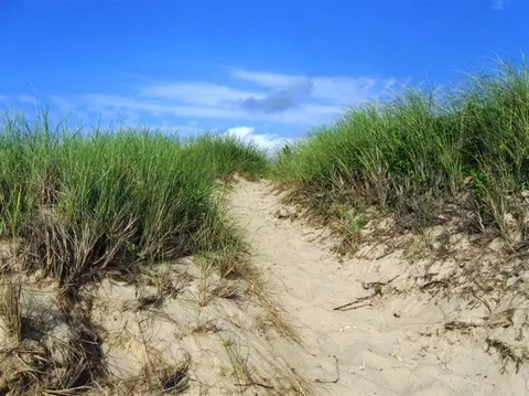 1250 Samoset Rd, Eastham, MA 02642 photo 26