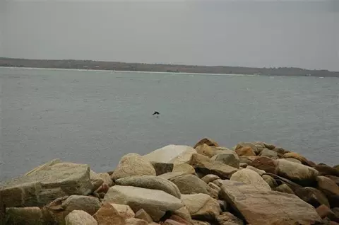 26 Beverly Rd, Pocasset, MA 02559 photo 33