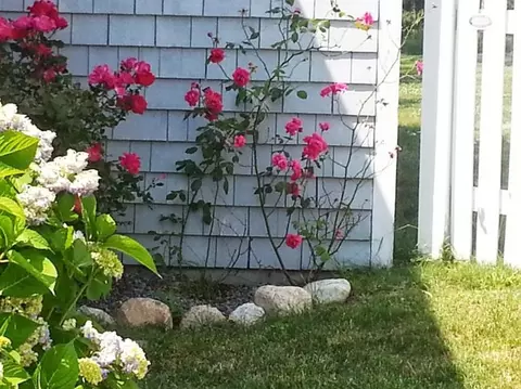 48 Bay St, Osterville, MA 02655 photo 11