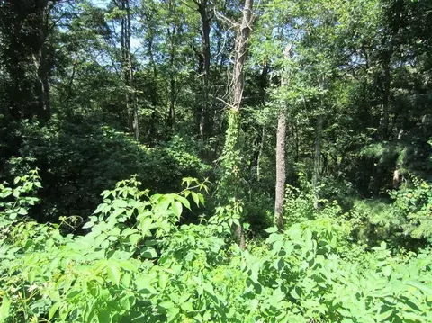 136 Fox Hill Rd, Centerville, MA 02632 photo 15