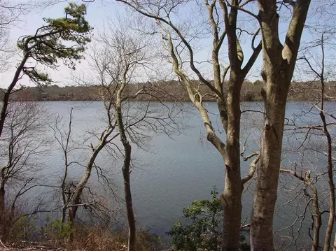 81 Edgewater Rd, Mashpee, MA 02649 photo 27