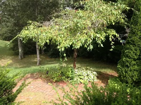 121 S Bay Rd, Osterville, MA 02655 photo 10