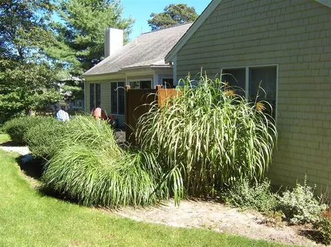 102 Falling Leaf Ln, Osterville, MA 02655 photo 17