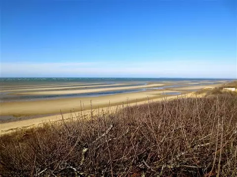 75 Carlton Way, Eastham, MA 02642 photo 1