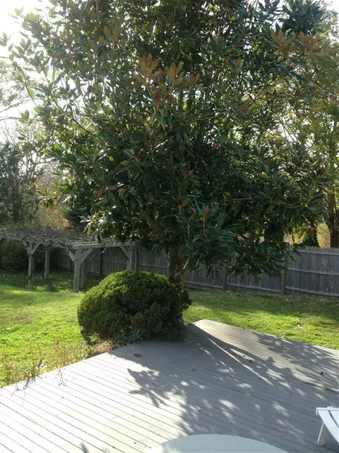 4151 Main St, Barnstable, MA 02630 photo 11