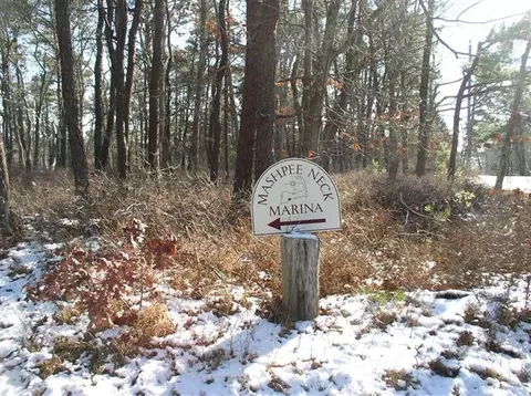 20 Jackbon Rd, Mashpee, MA 02649 photo 22