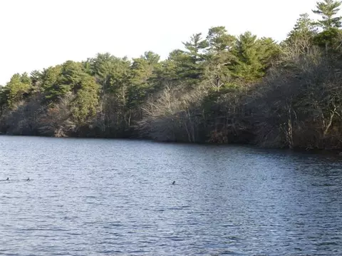 71 Harju Rd, Centerville, MA 02632 photo 1